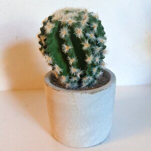 NWT Ashland Faux Cactus Rustic Clay Pot Floral Succulent Summer Desert Michael's